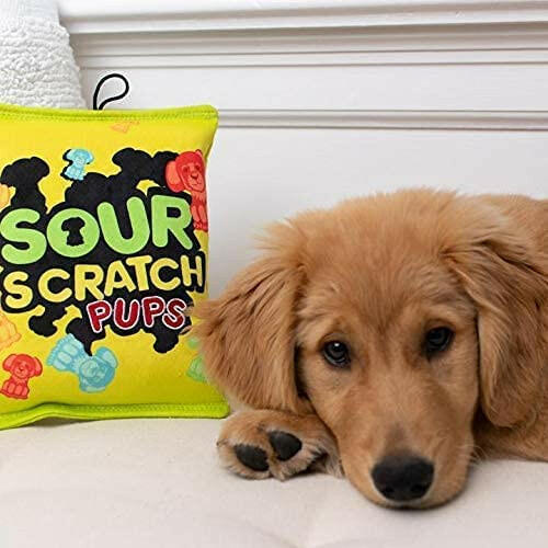 Sour Scratch Dog Toy - The Dog Shop