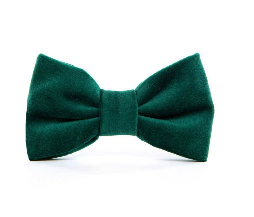 forest green velvet dog bow tie