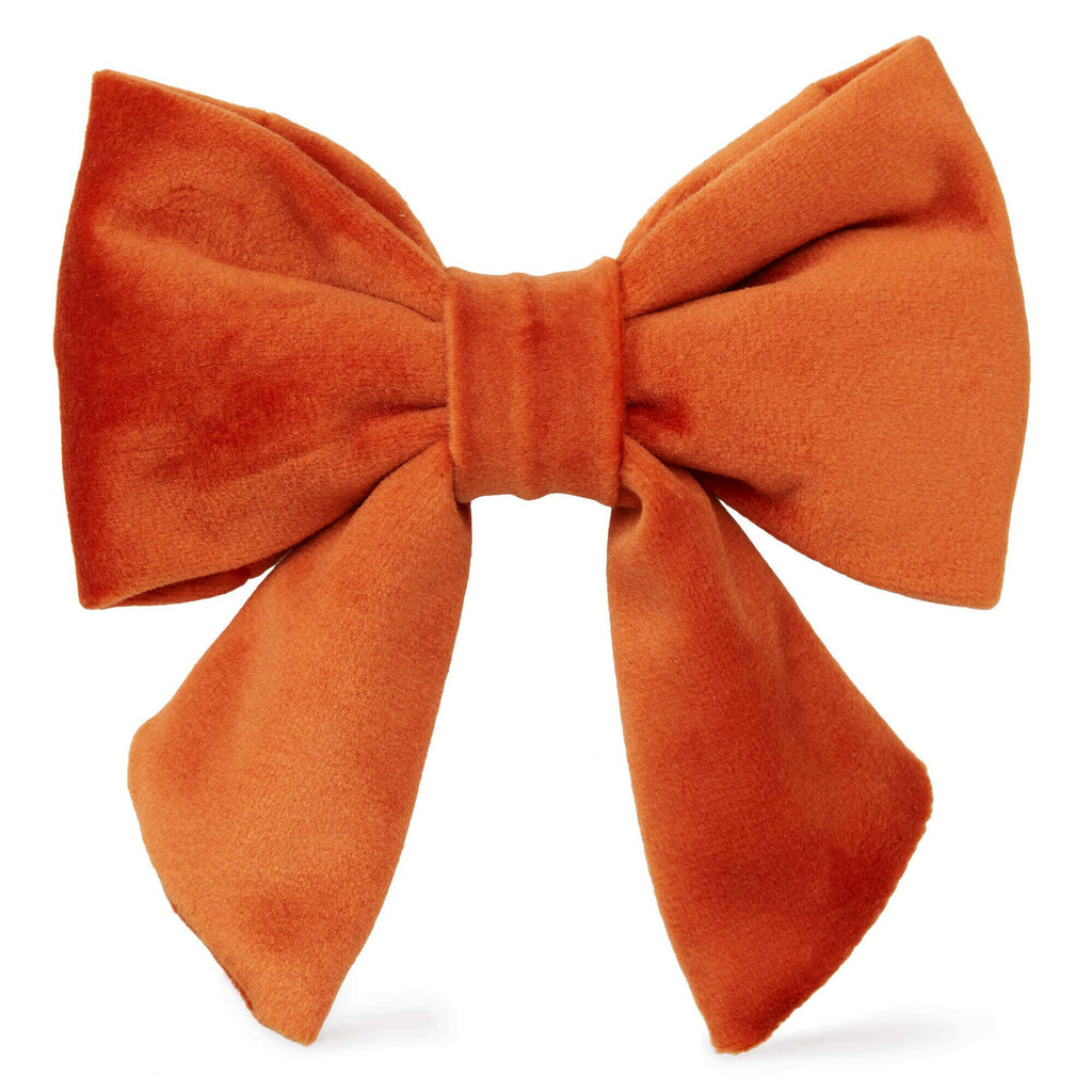 The Foggy Dog Lady Bow - Pumpkin Velvet - The Dog Shop