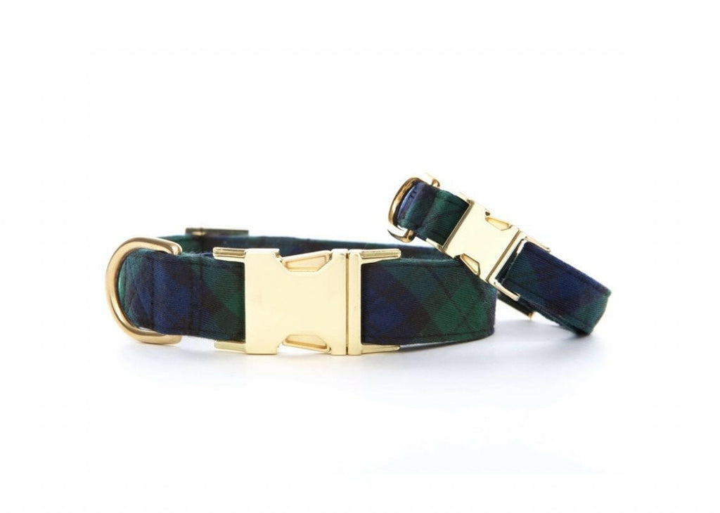 traditional black watch plaid dog collar predominantly green and blue in color