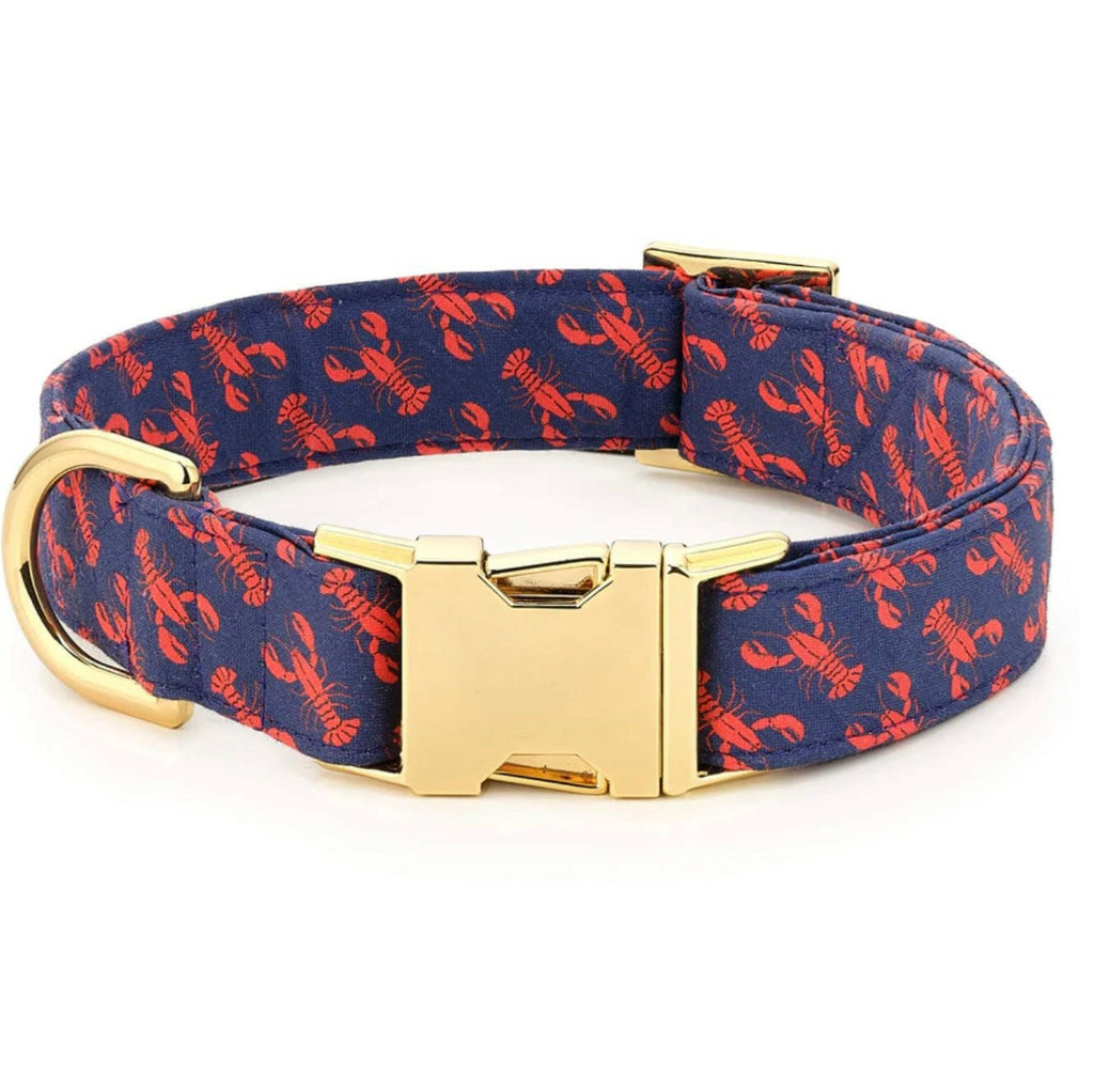 The Foggy Dog Collar - Catch of the Day Navy - The Dog Shop