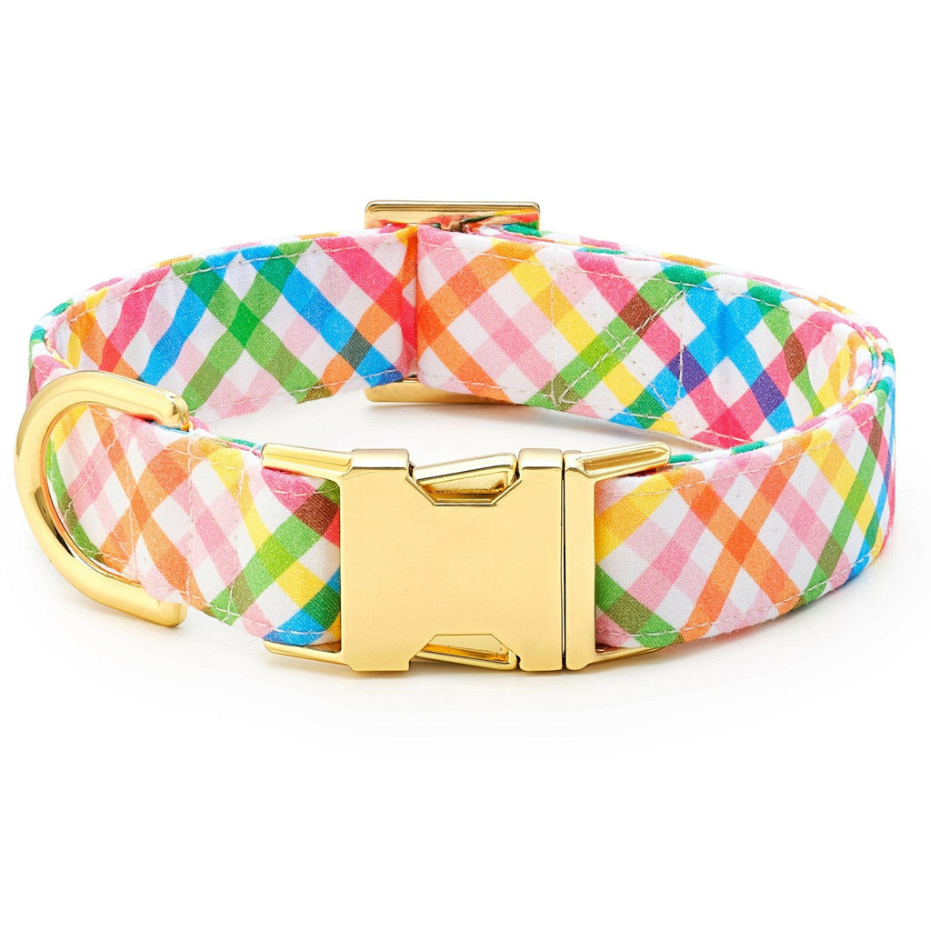 The Foggy Dog Collar - Rainbow Gingham Summer - The Dog Shop