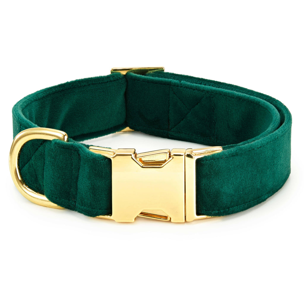 The Foggy Dog Collar - Forest Green Velvet - The Dog Shop