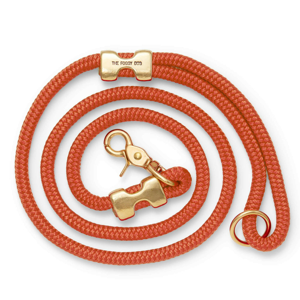 The Foggy Dog Marine Rope Leash - Cider - The Dog Shop