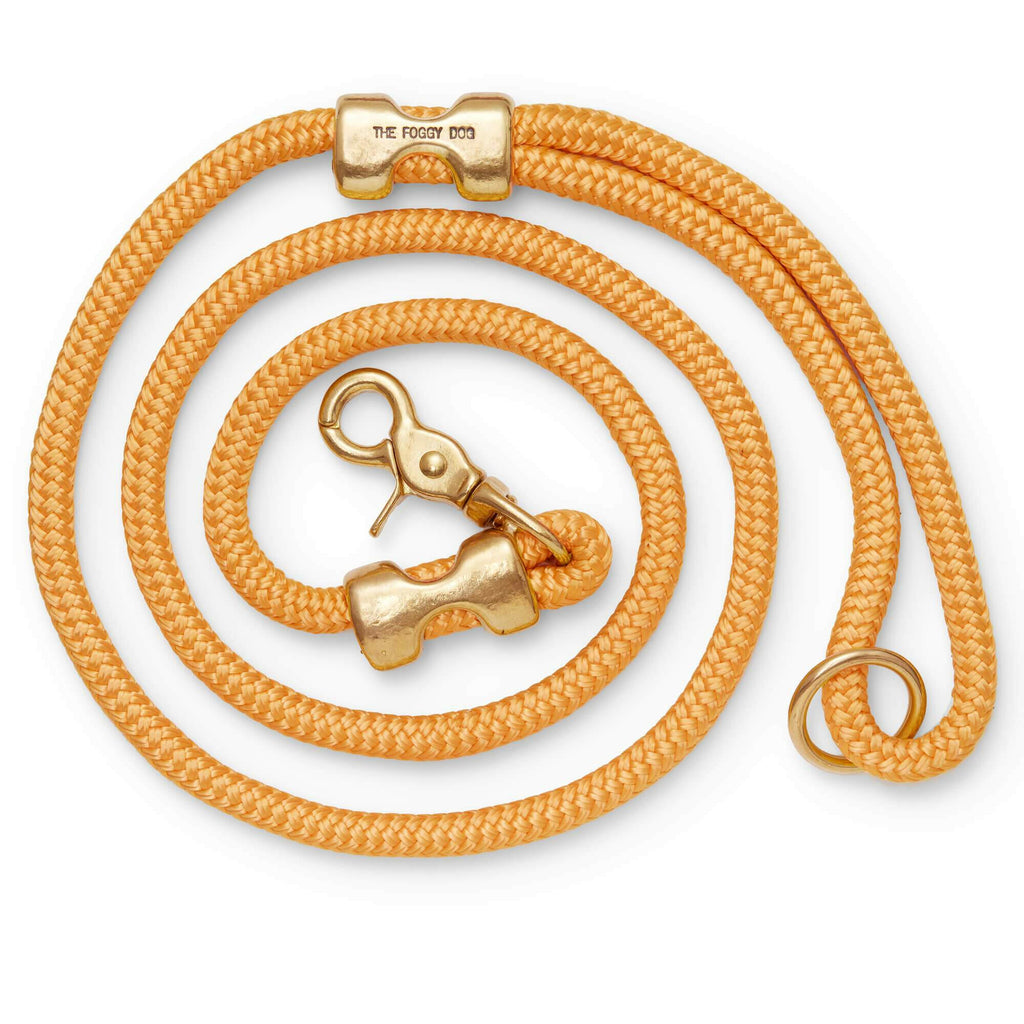 The Foggy Dog Marine Rope Leash - Goldenrod - The Dog Shop