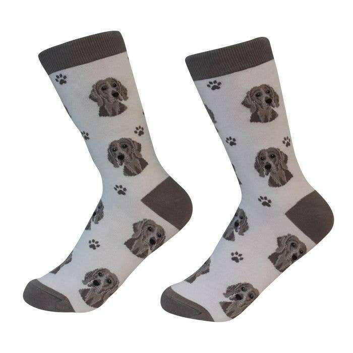 Weimaraner Socks - The Dog Shop