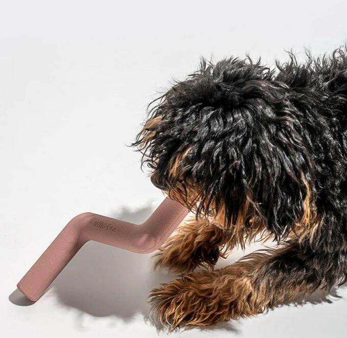 Wild One Bolt Bite Durable Dog Toy - Blush - The Dog Shop