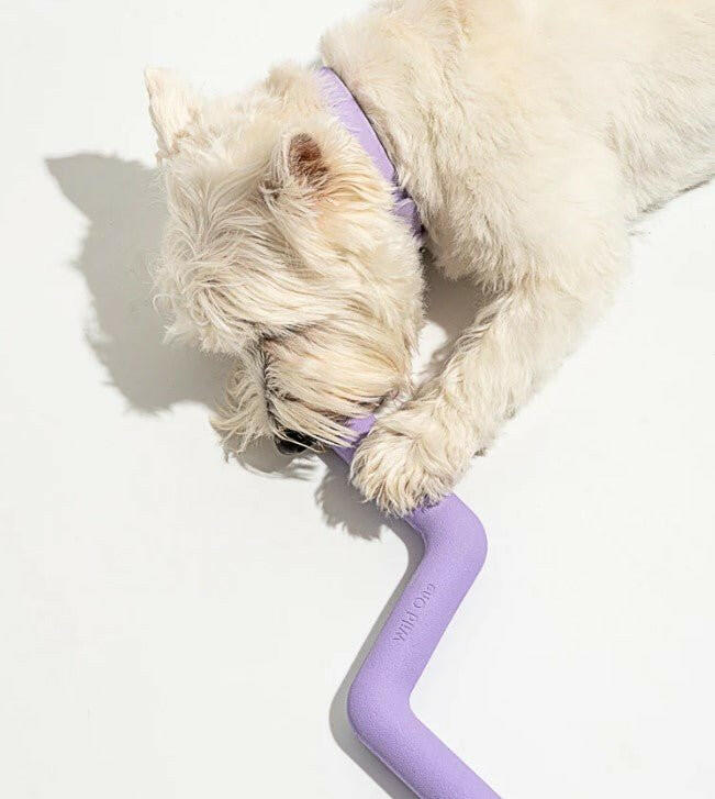 Wild One Bolt Bite Durable Dog Toy - Lilac - The Dog Shop