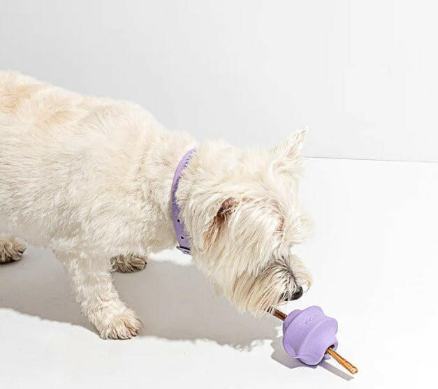 Wild One Twist Toss Dog Toy- Lilac - The Dog Shop