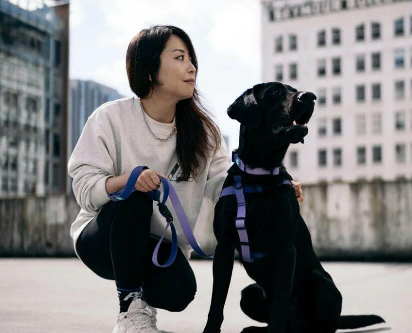 Woof Concept Waterproof Dog Collar - Empress - The Dog Shop