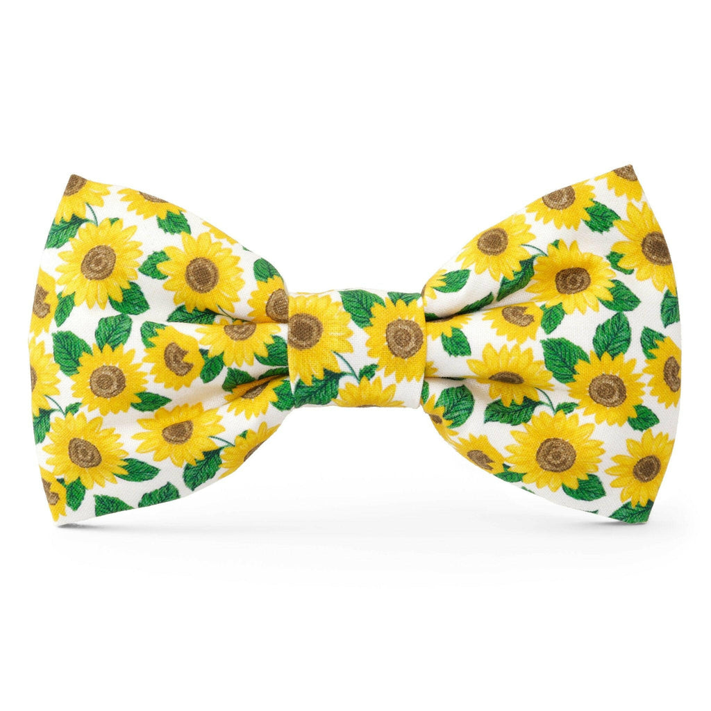 You are My Sunshine Summer Dog Bow Tie - The Dog Shop
