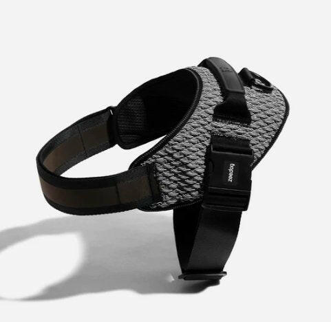 Zee.Dog FlyHarness Urban - The Dog Shop
