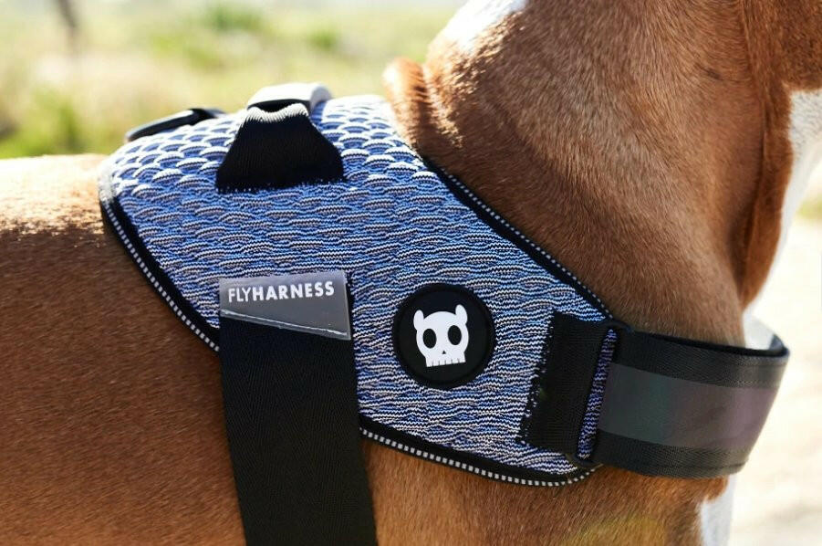 Zee.Dog FlyHarness Urban - The Dog Shop
