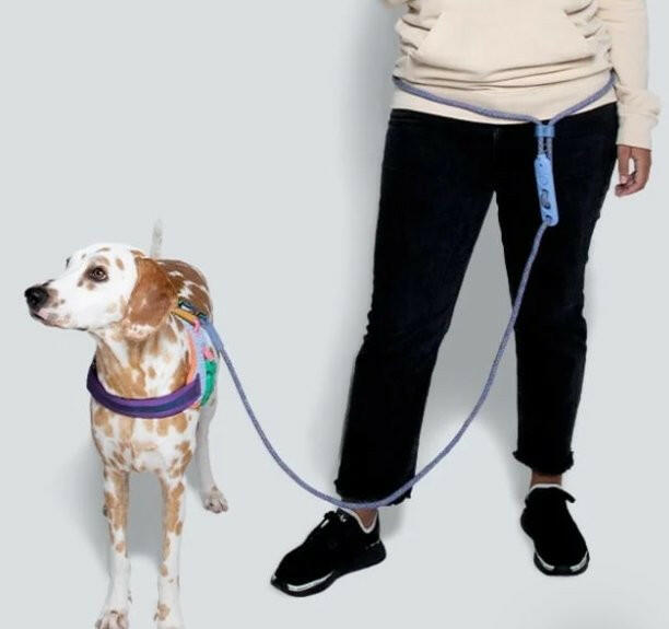 Zee.Dog Hands-Free Dog Leash Andromeda - The Dog Shop