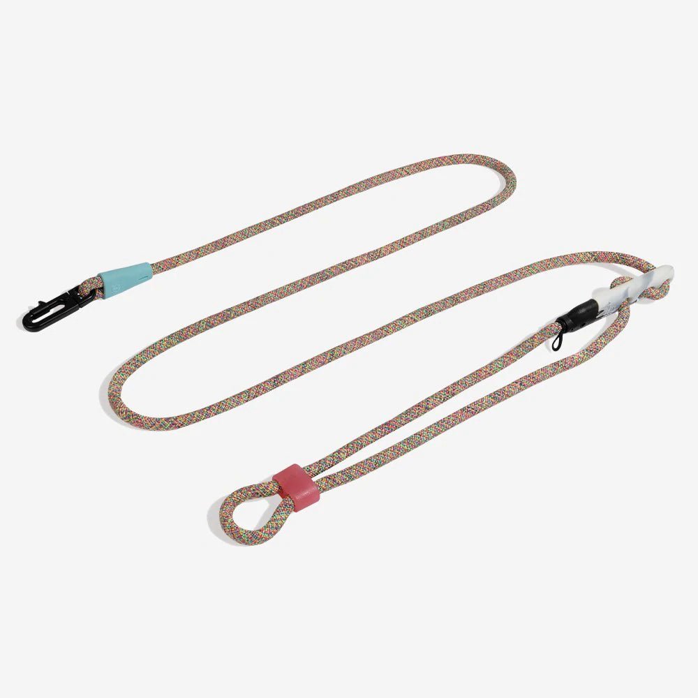 Zee.Dog Hands-Free Dog Leash Gravity - The Dog Shop