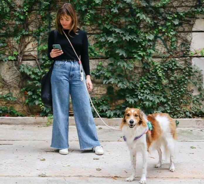 Zee.Dog Hands-Free Dog Leash Gravity - The Dog Shop