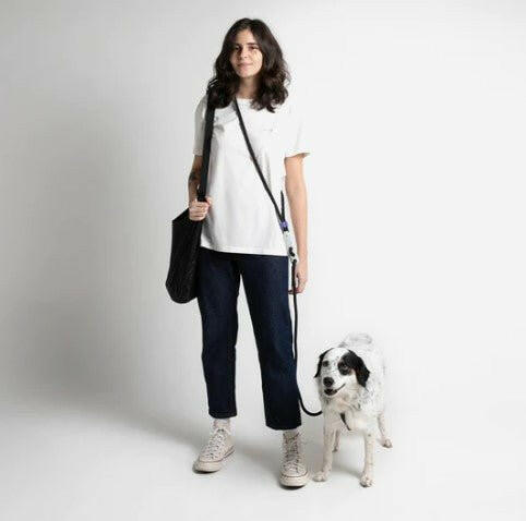 Zee.Dog Hands-Free Dog Leash Nox - The Dog Shop