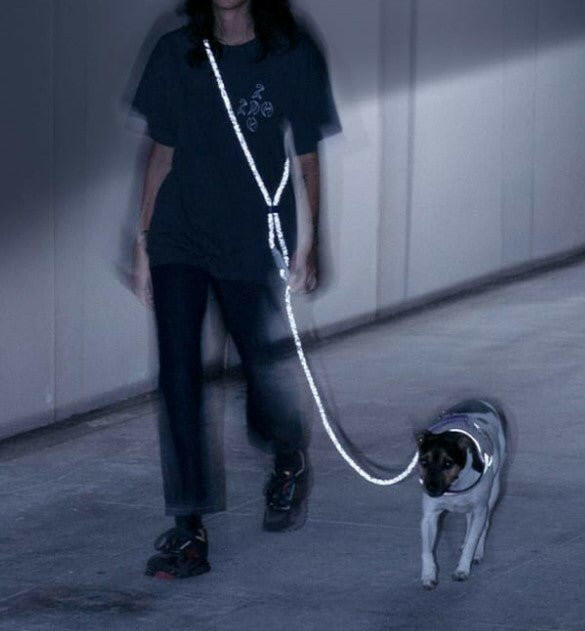 Zee.Dog Hands-Free Dog Leash Nox - The Dog Shop