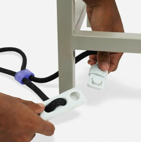 Zee.Dog Hands-Free Dog Leash Nox - The Dog Shop
