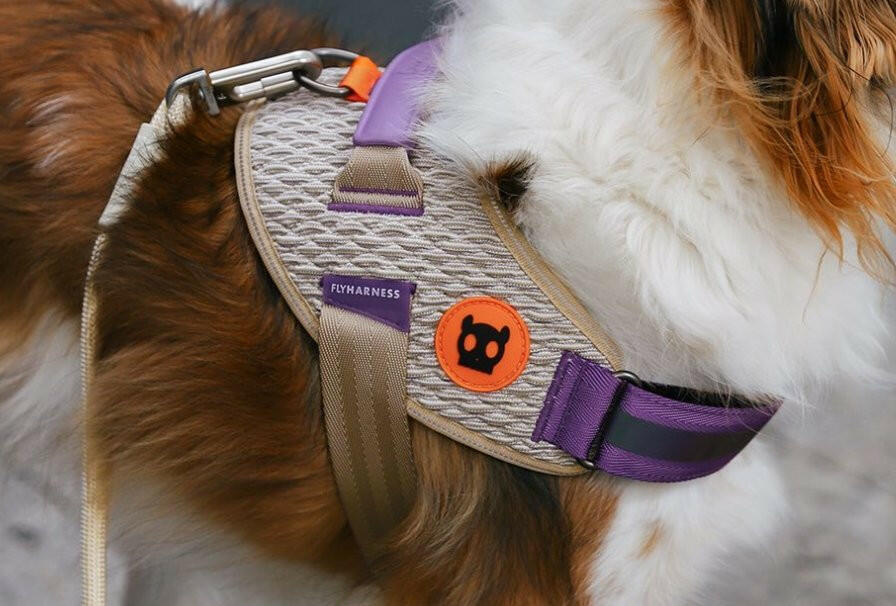 Zee.Dog FlyHarness ACG - The Dog Shop