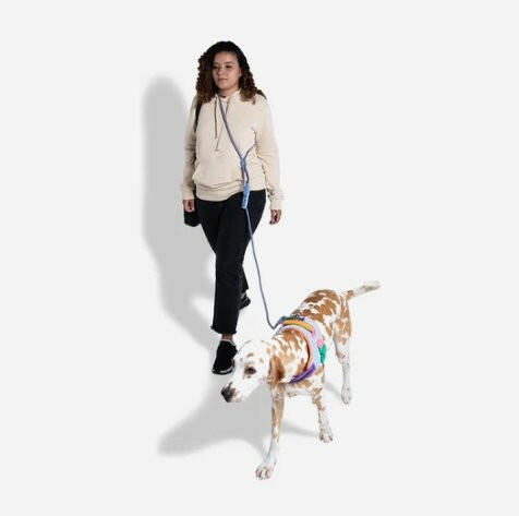 Zee.Dog Hands-Free Dog Leash Andromeda - The Dog Shop