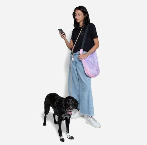 Zee.Dog Hands-Free Dog Leash Gravity - The Dog Shop