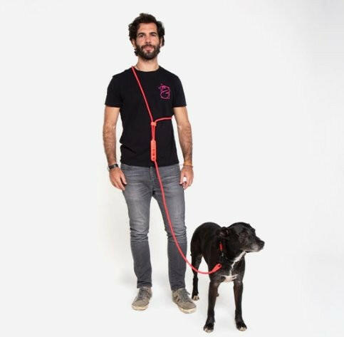 Zee.Dog Hands-Free Dog Leash Neon Coral - The Dog Shop